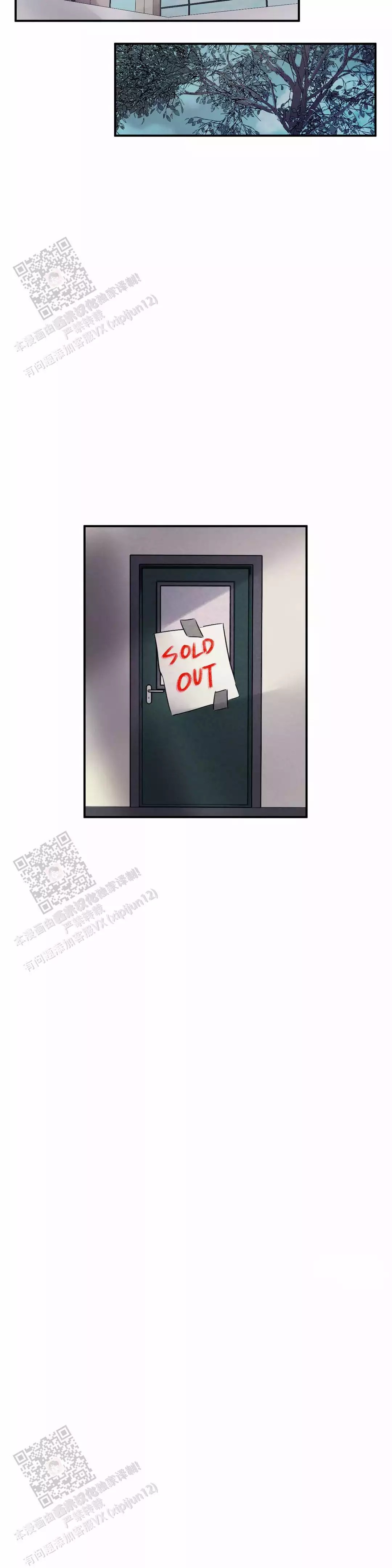 24.jpg