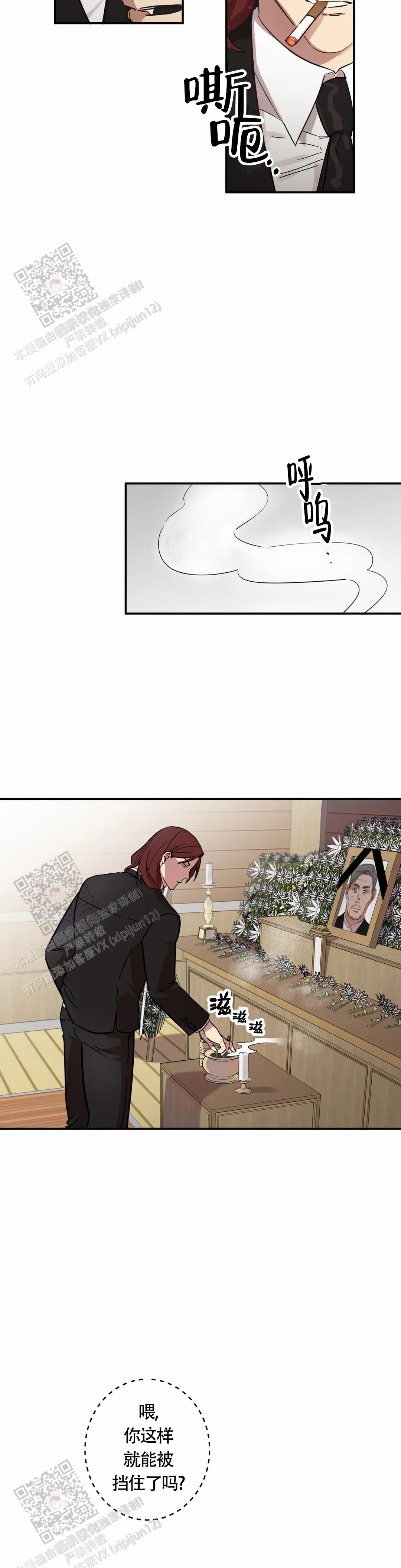 12.jpg