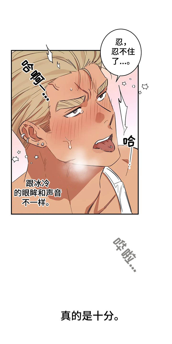 21.jpg