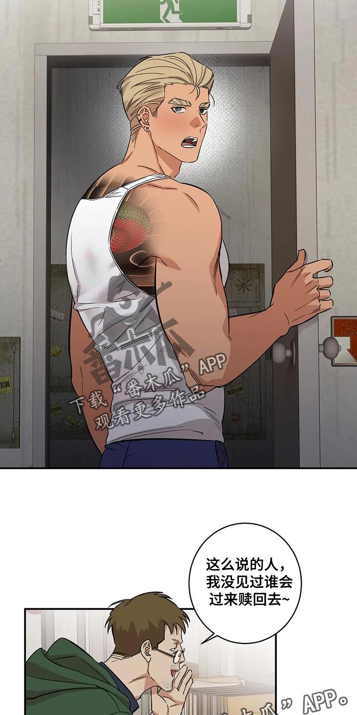 12.jpg