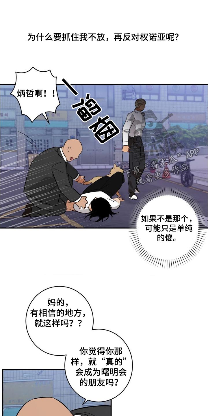 17.jpg