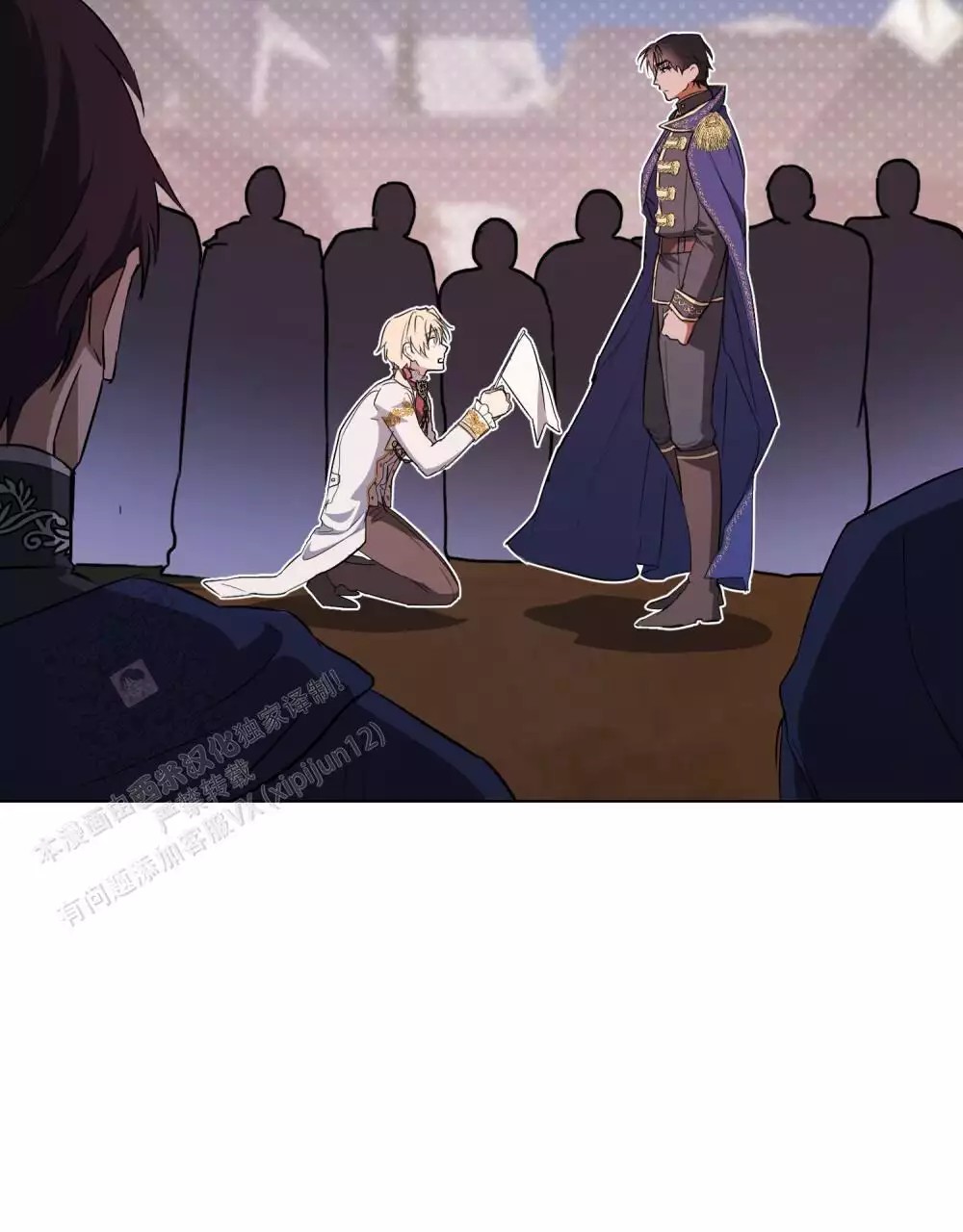 17.jpg