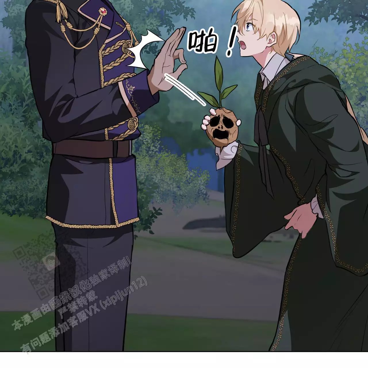 28.jpg
