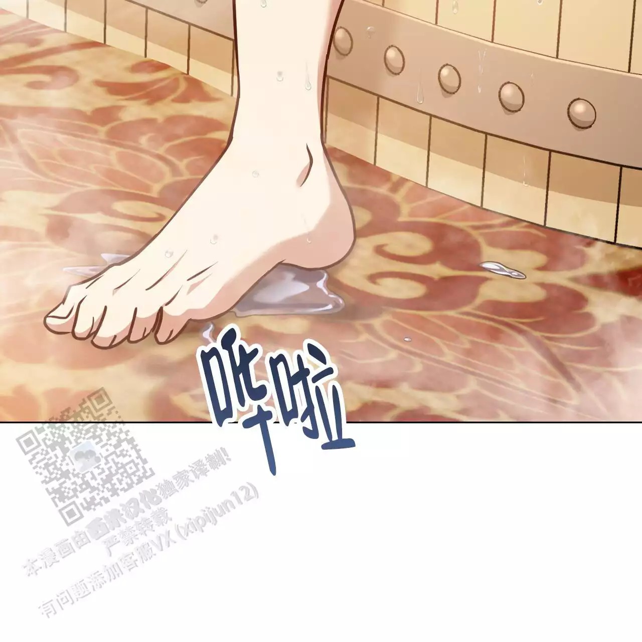 5.jpg