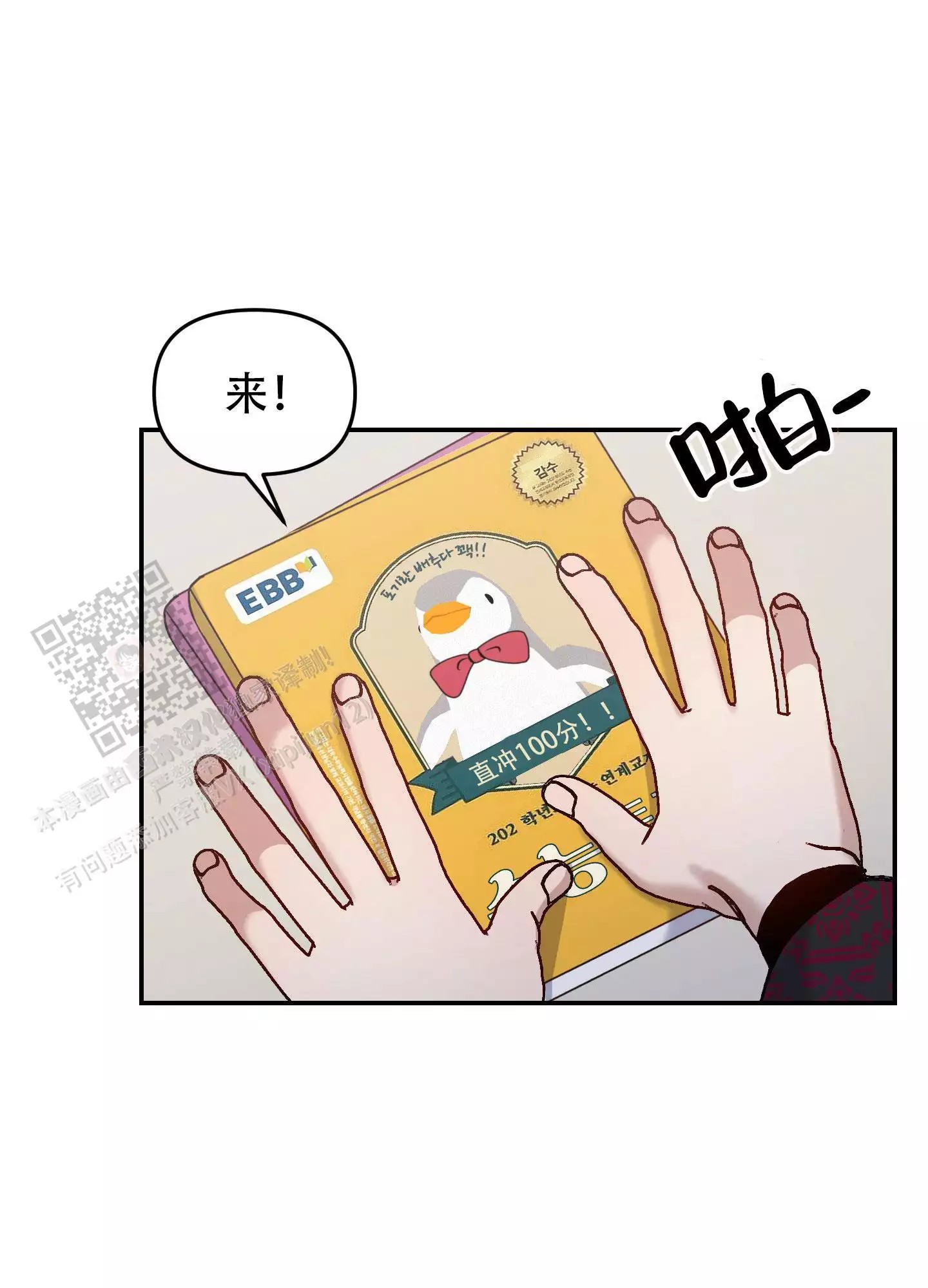 26.jpg