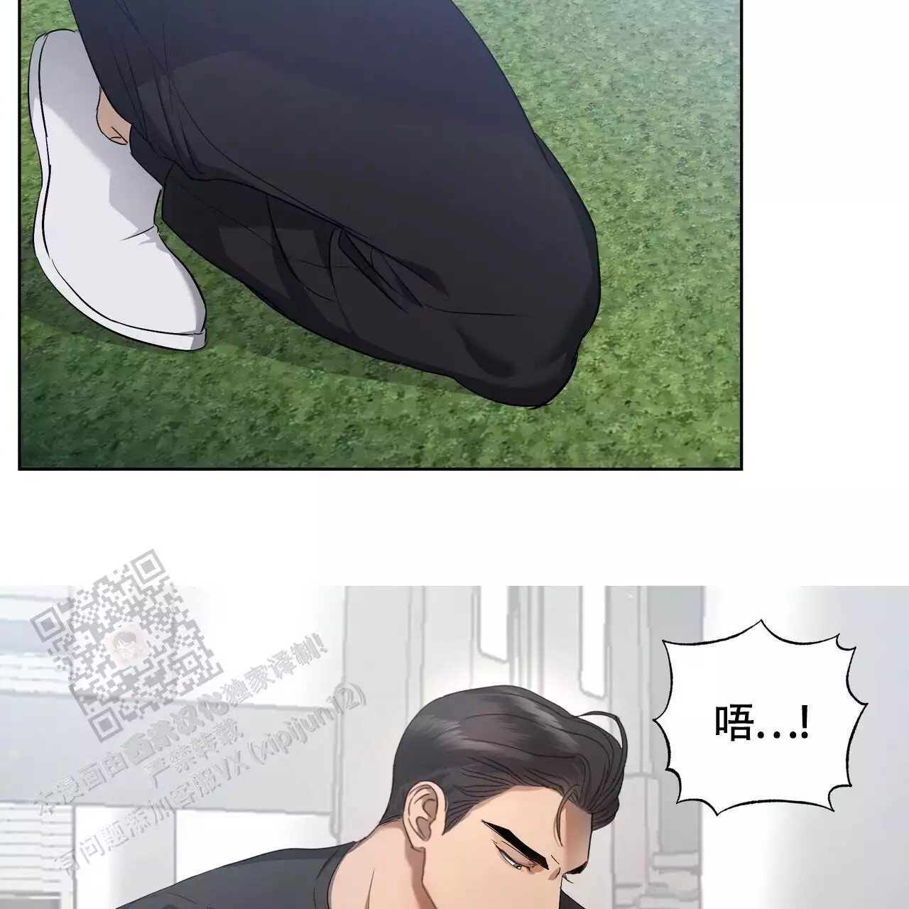 48.jpg