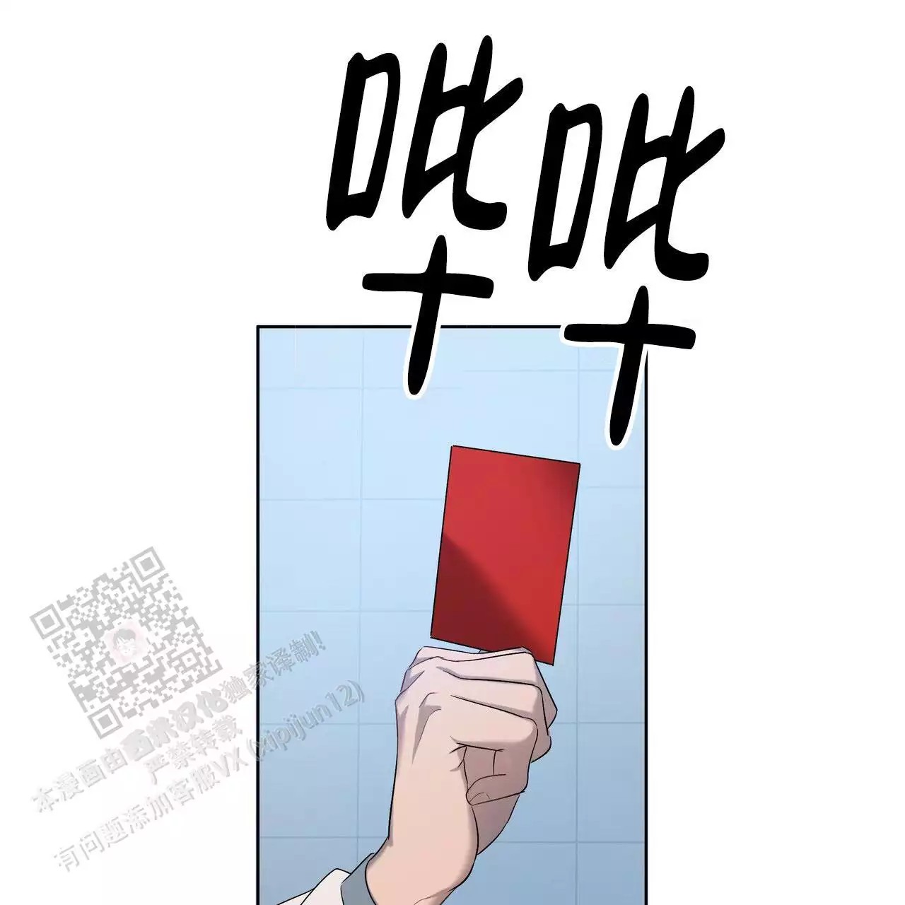 17.jpg