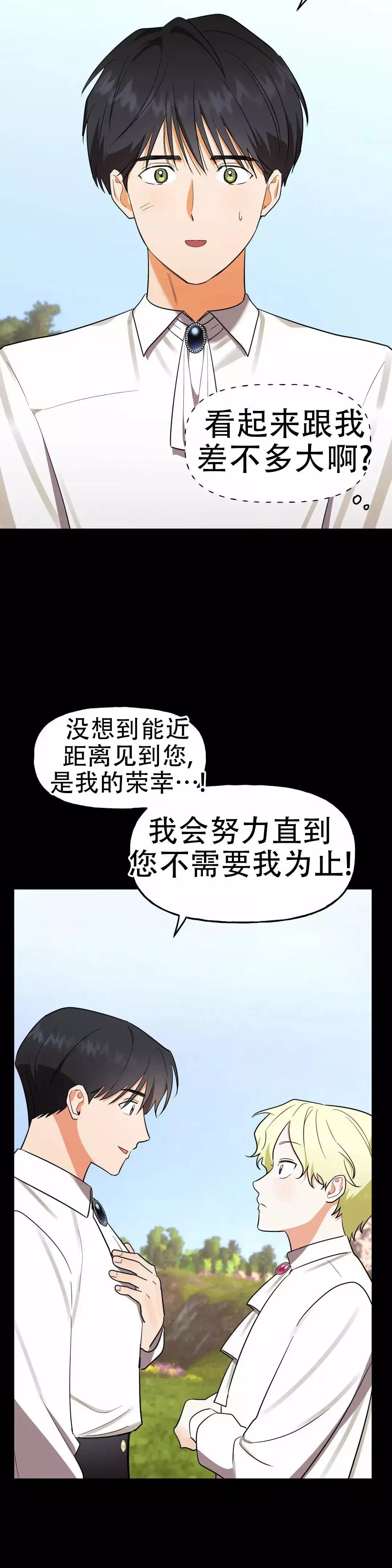 5.jpg