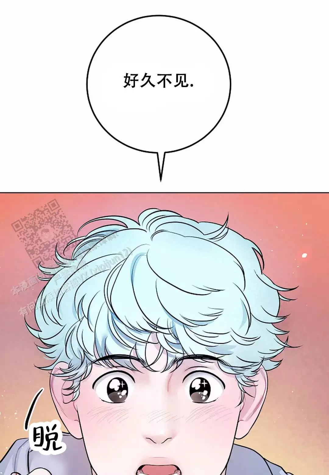 41.jpg
