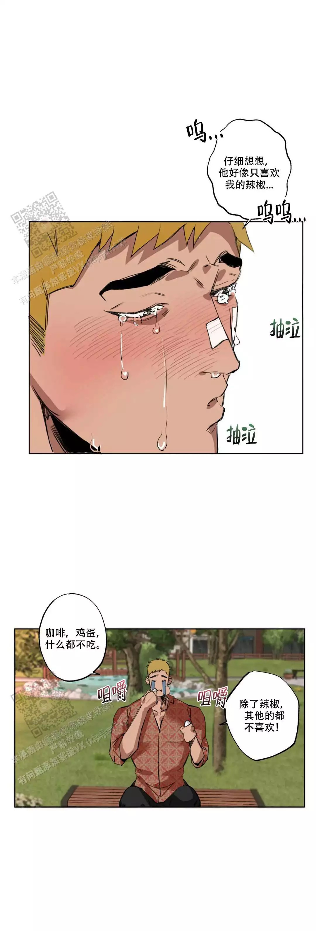 4.jpg