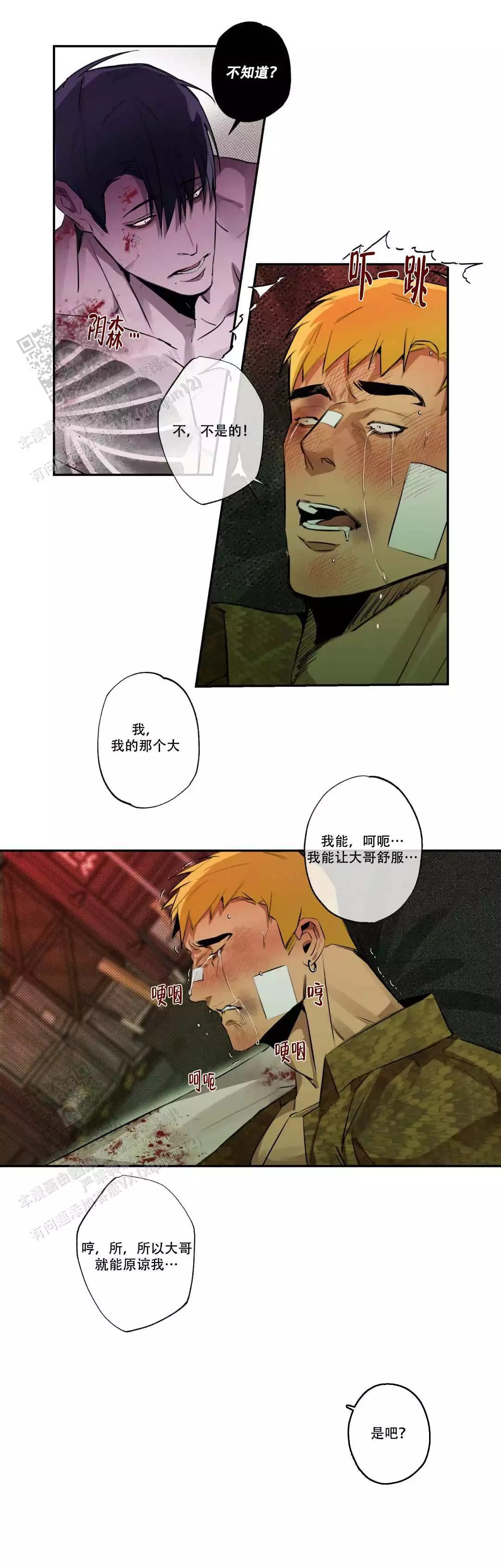 11.jpg