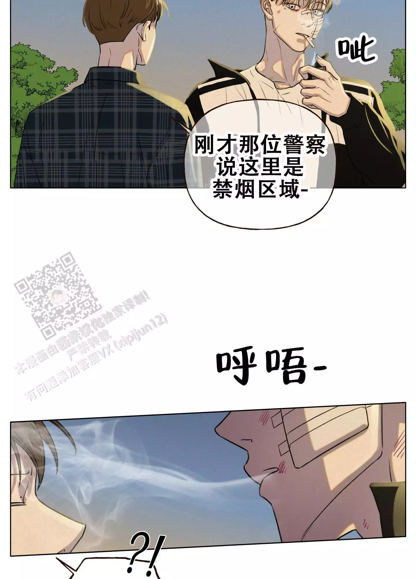 31.jpg