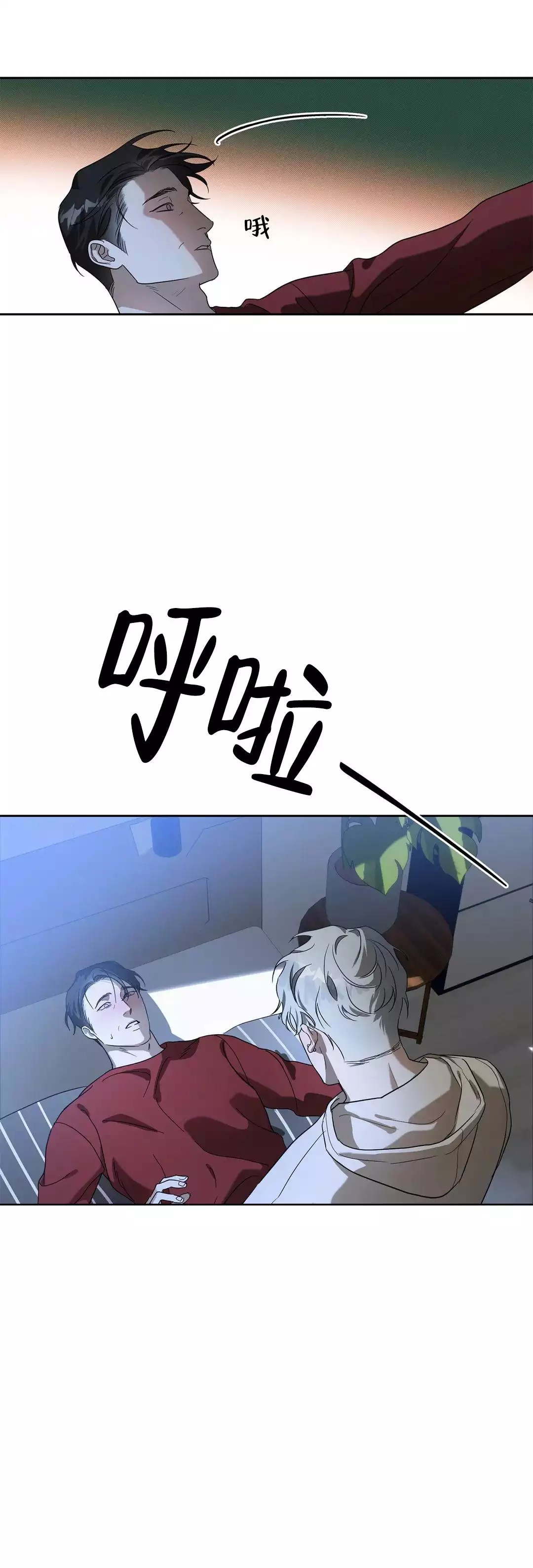 11.jpg