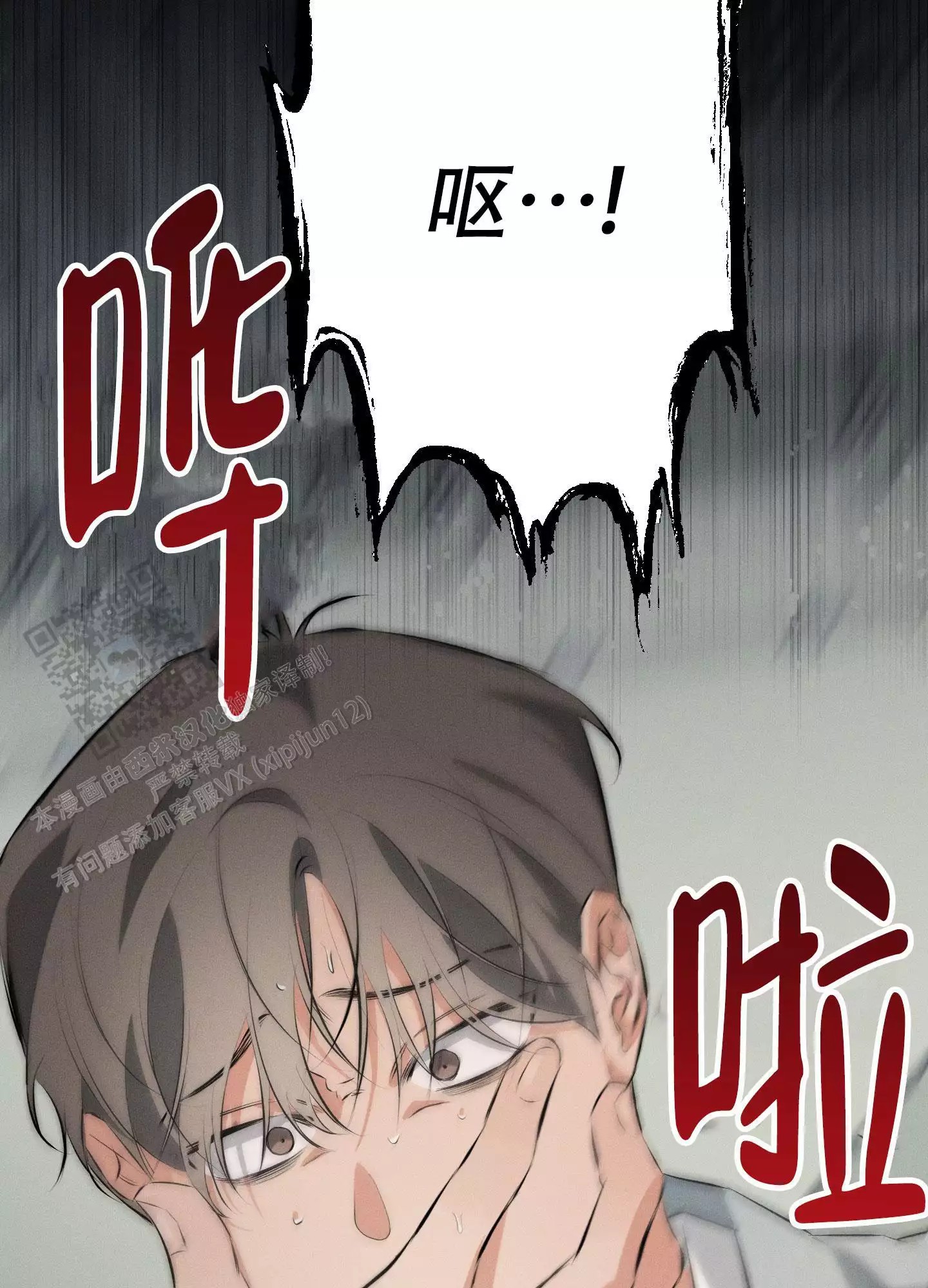 21.jpg