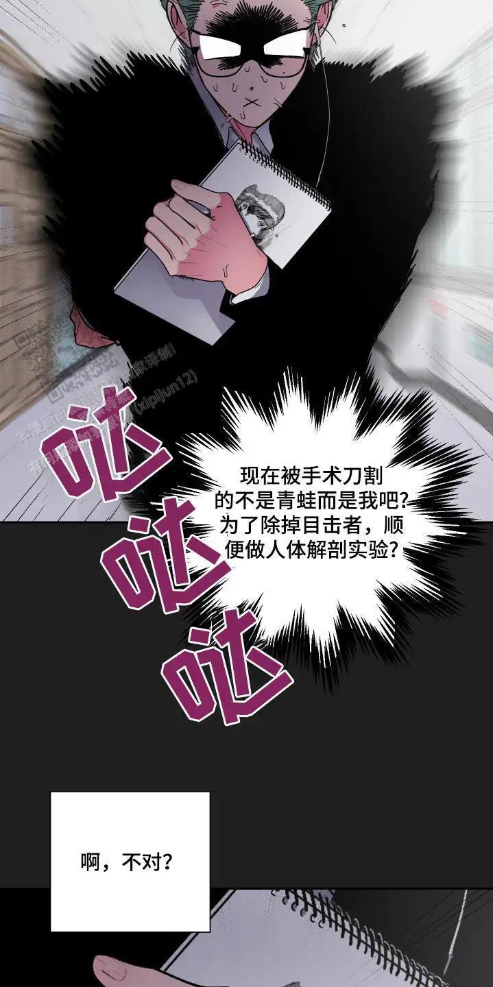 15.jpg