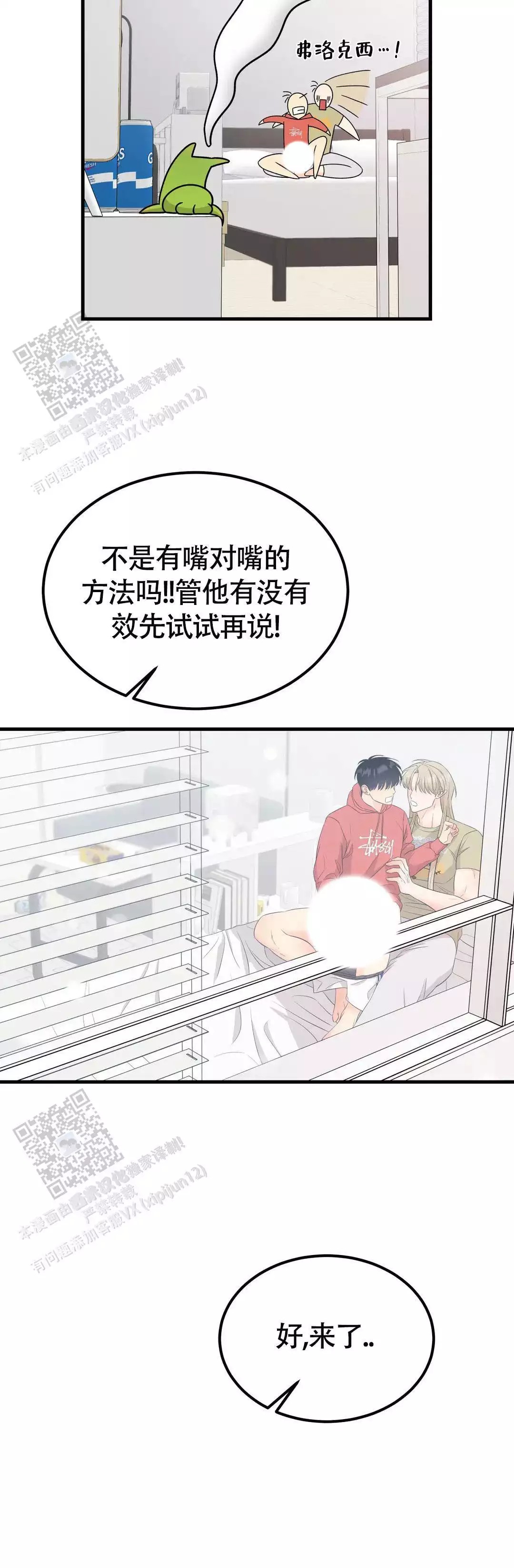 15.jpg