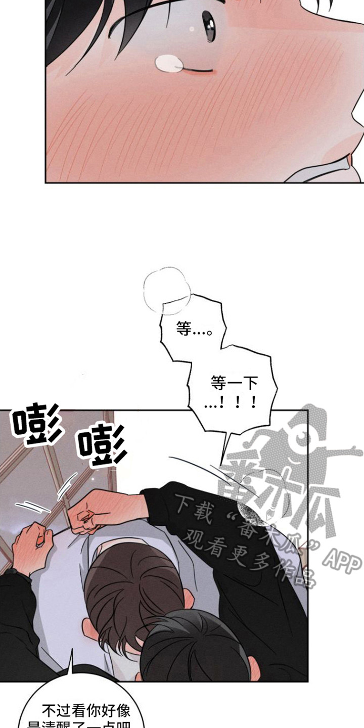 13.jpg