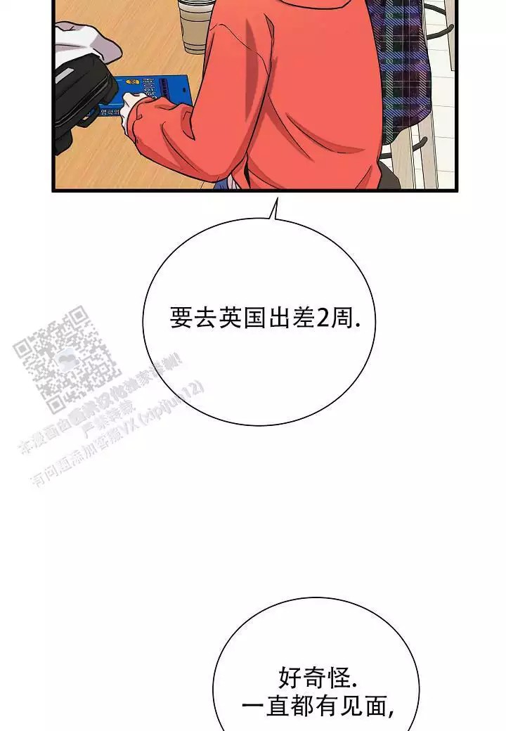 46.jpg