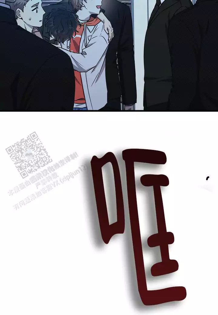 48.jpg