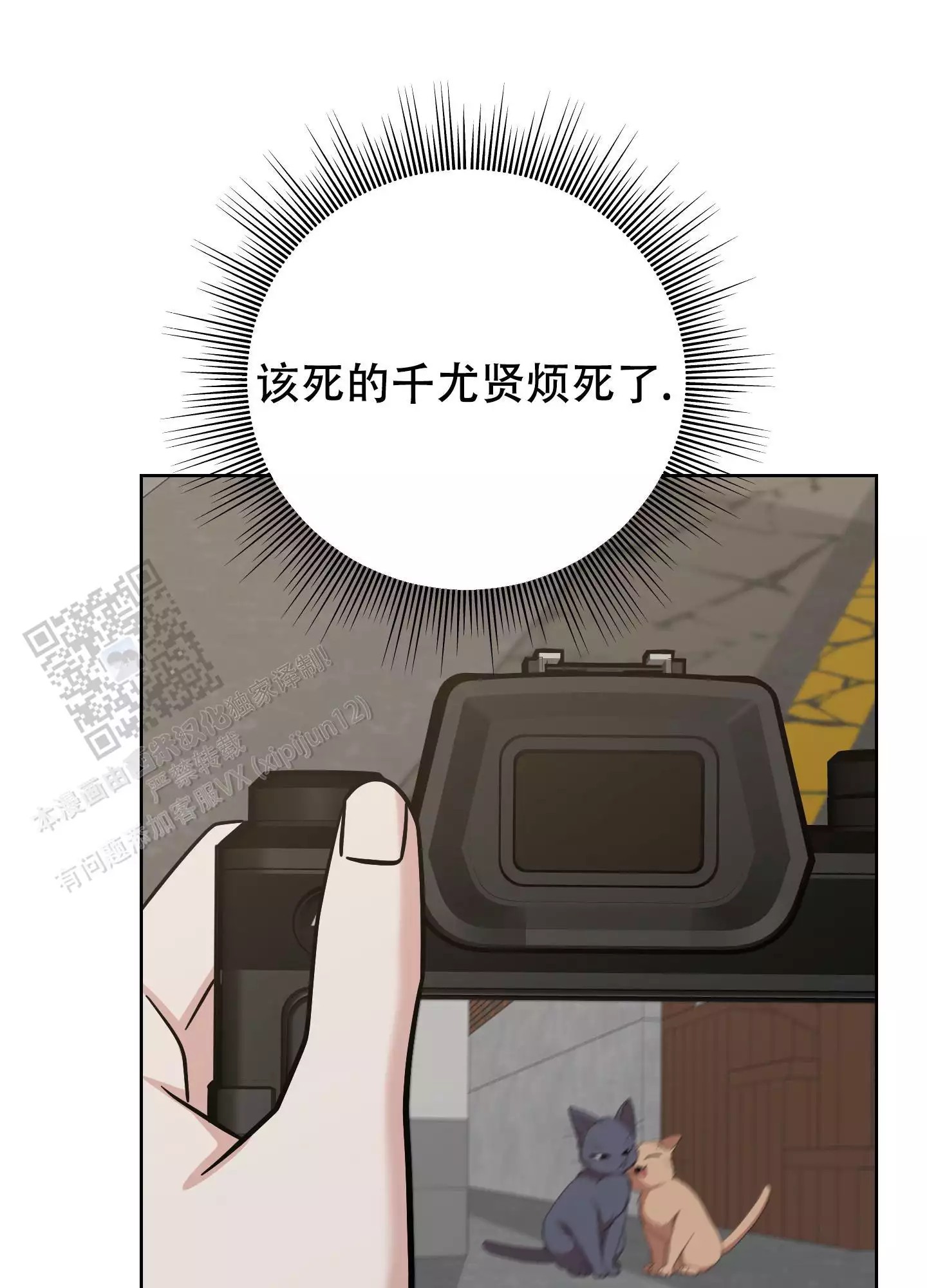 20.jpg