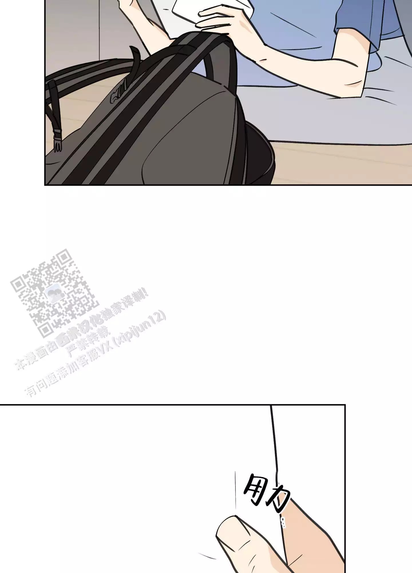 5.jpg