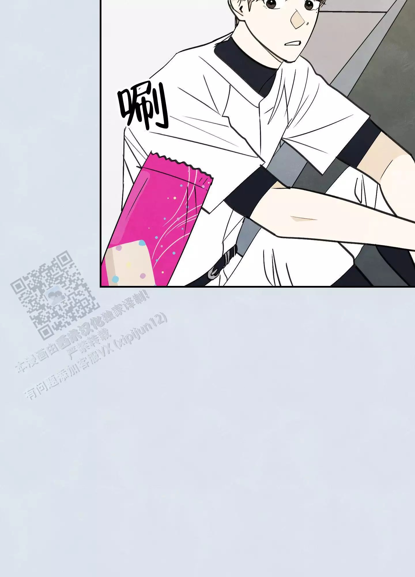 11.jpg