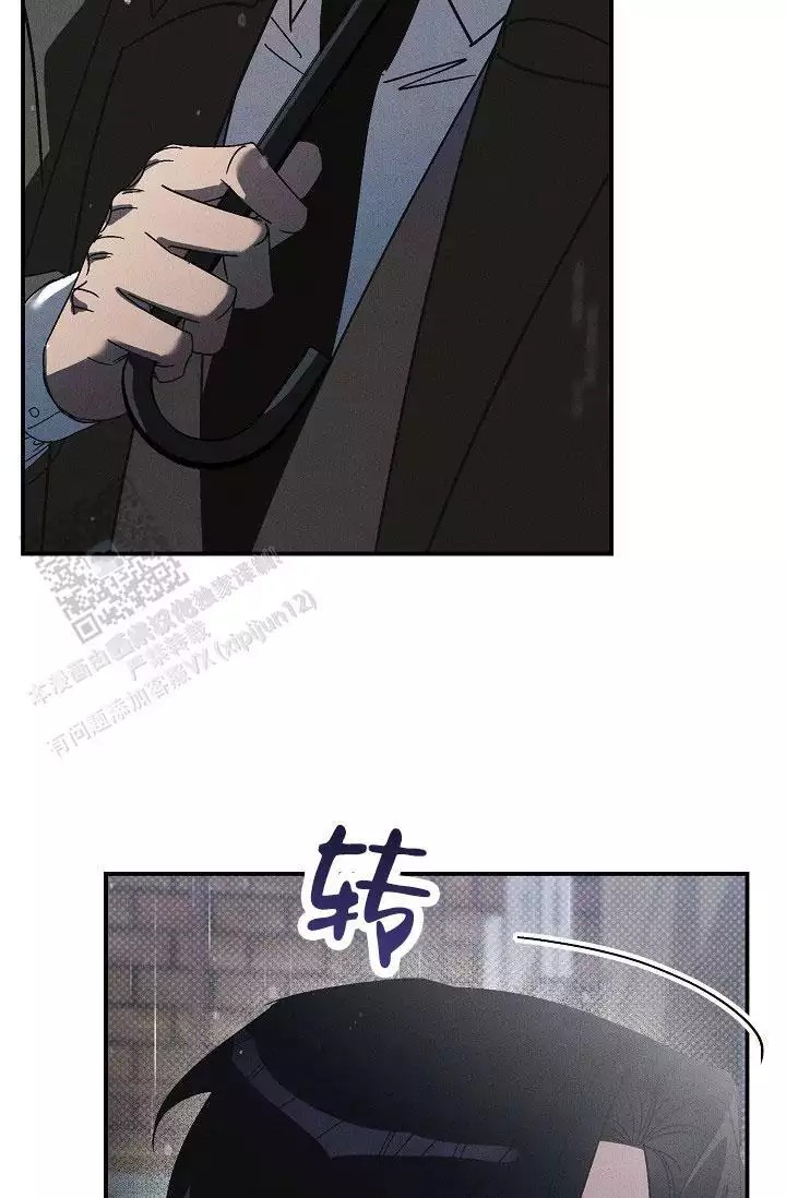 47.jpg