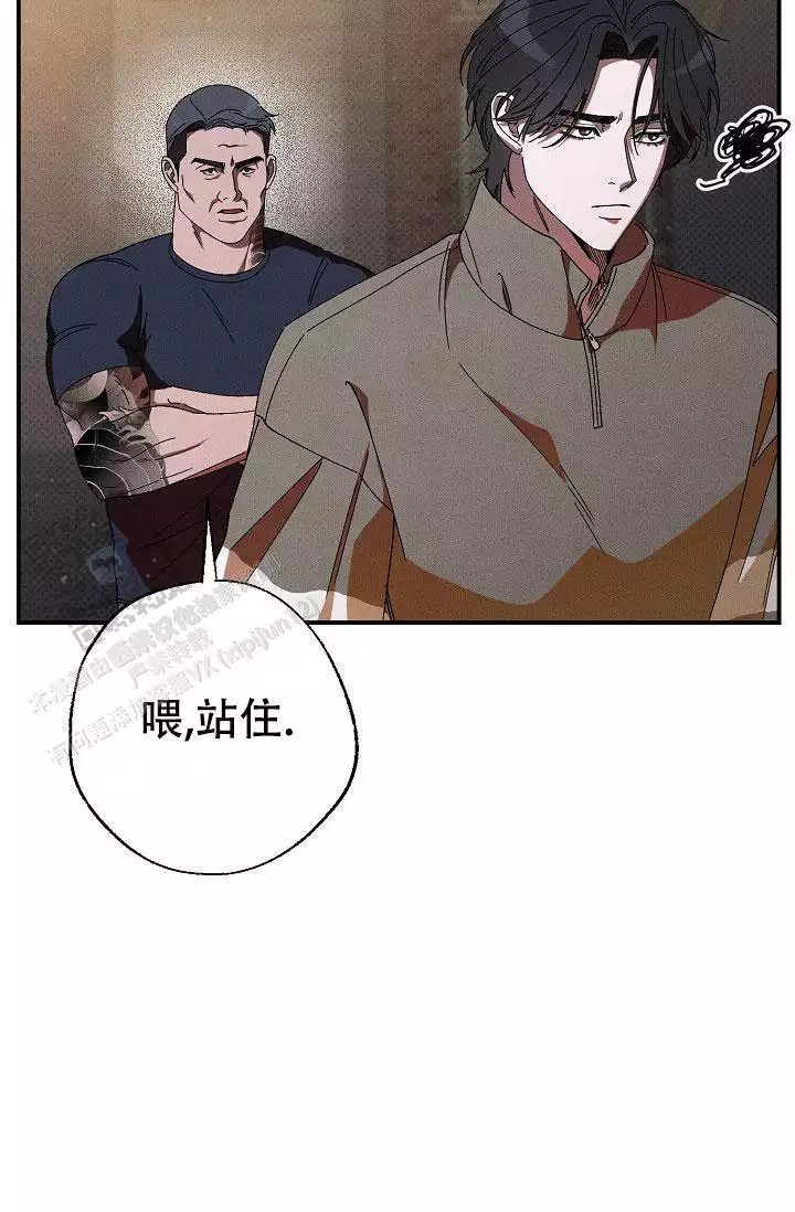 37.jpg