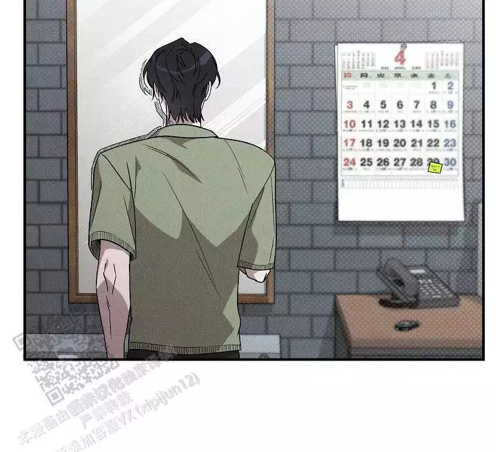 41.jpg