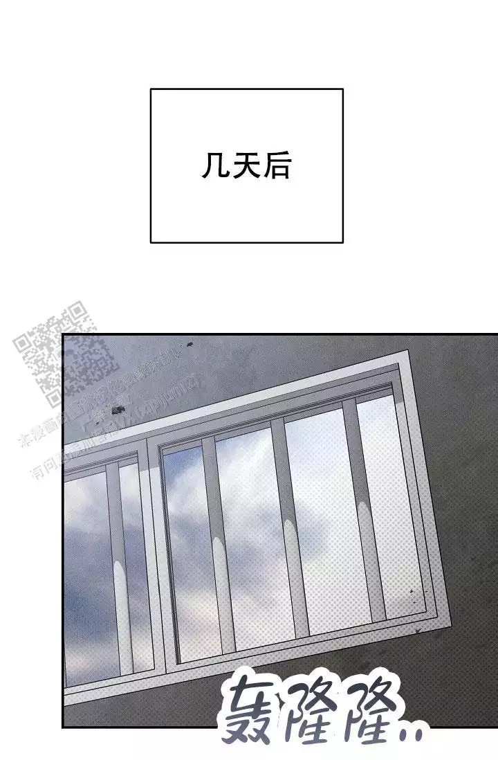 46.jpg