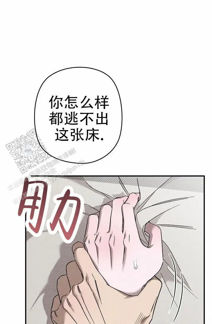 37.jpg