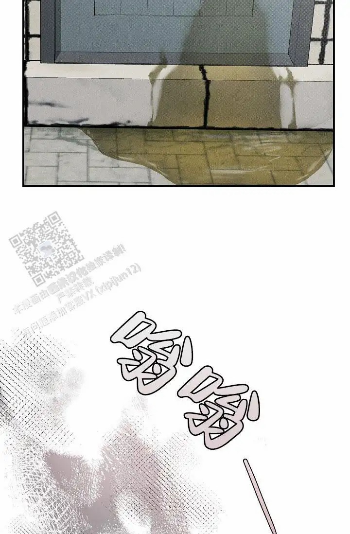 40.jpg