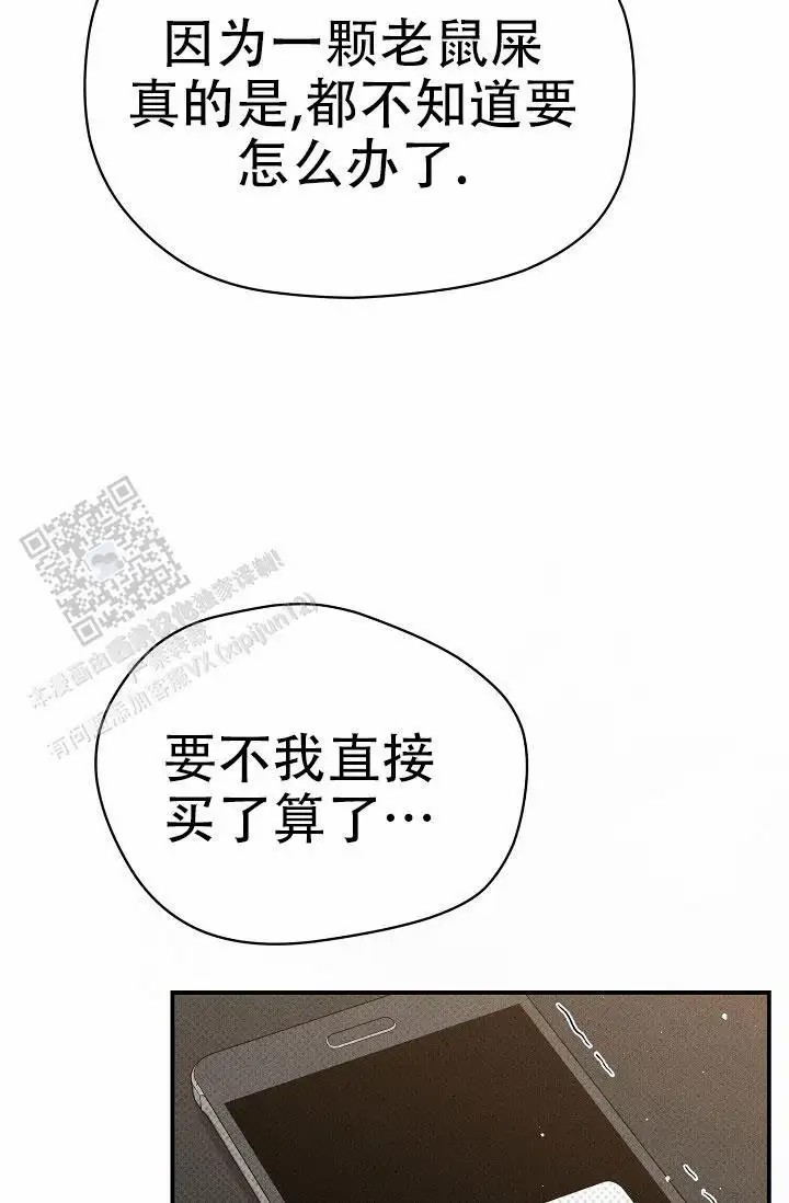 29.jpg