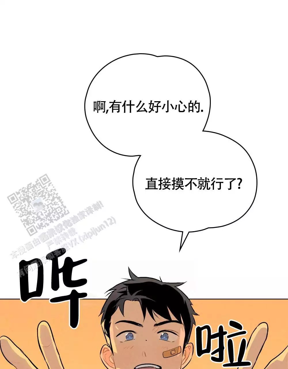 21.jpg