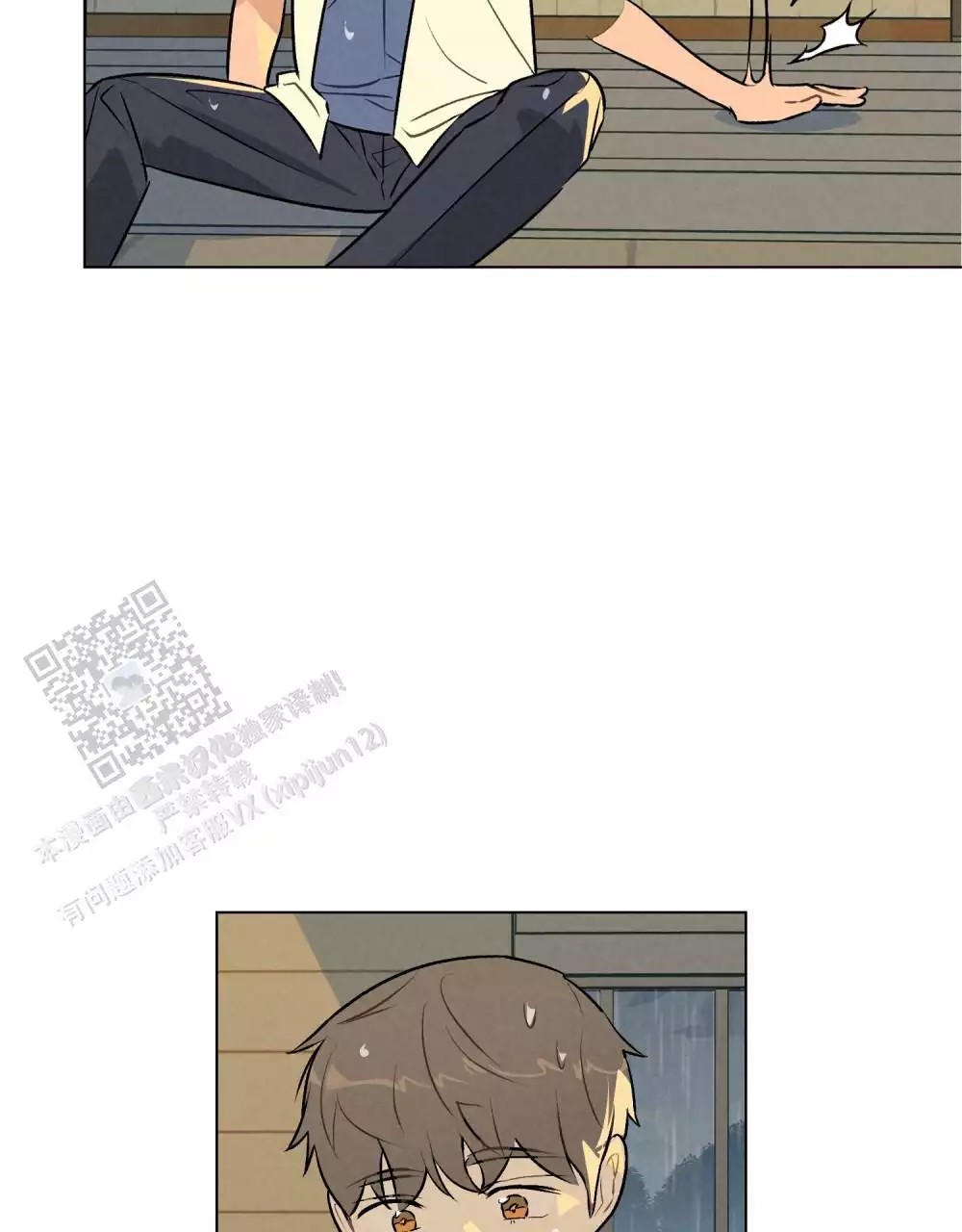 17.jpg