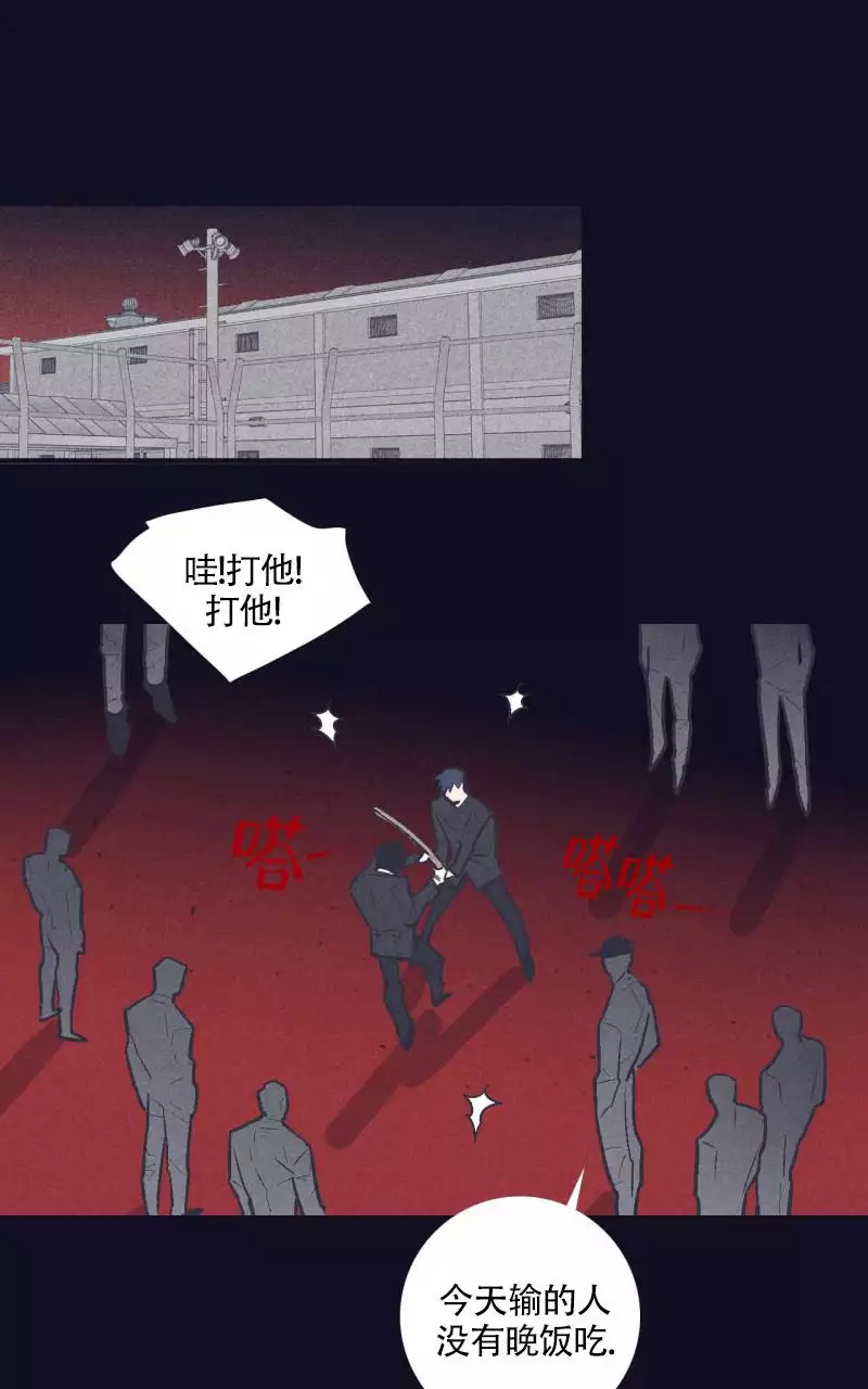 16.jpg