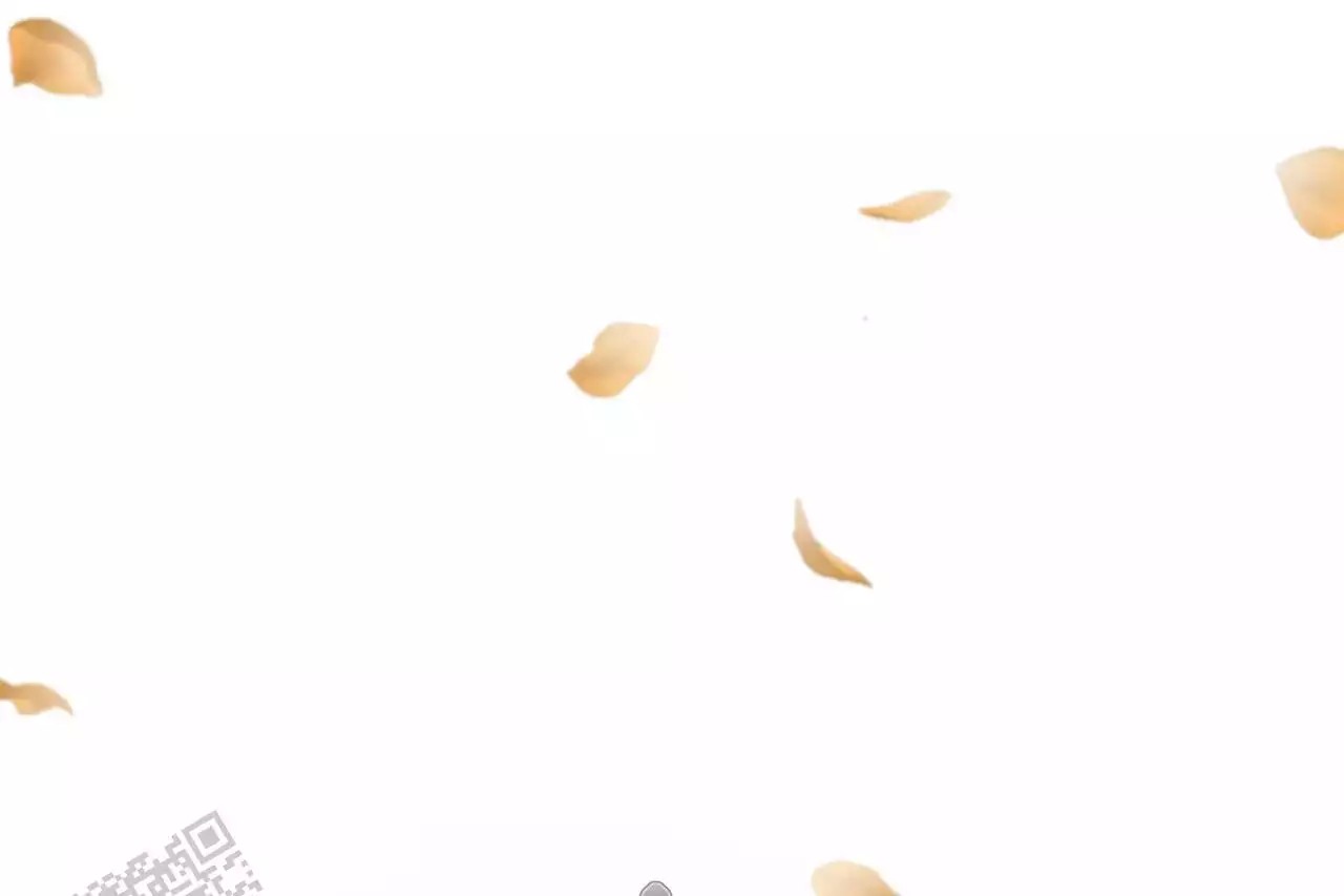 50.jpg