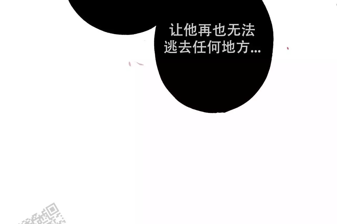 68.jpg