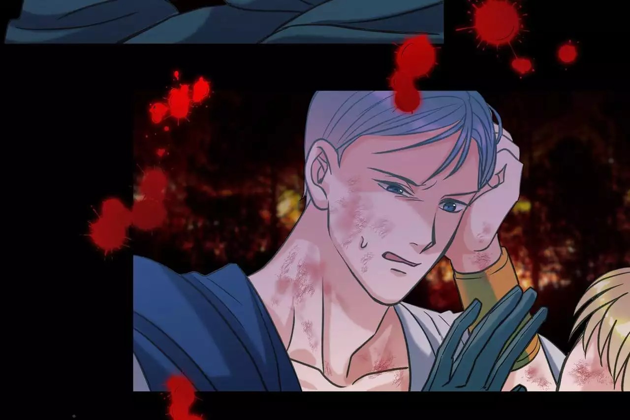 41.jpg