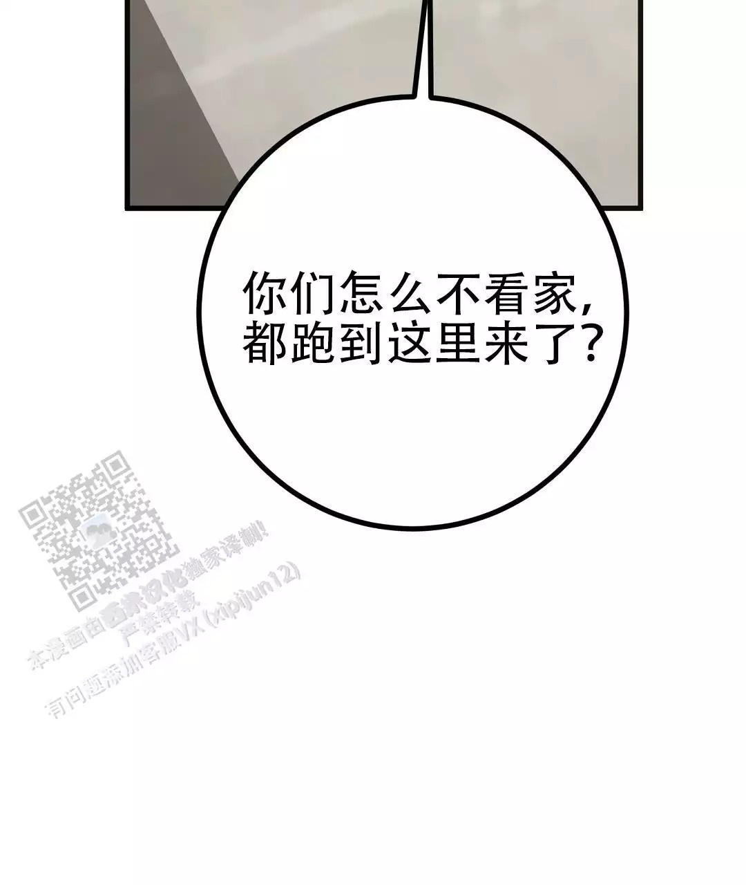 97.jpg
