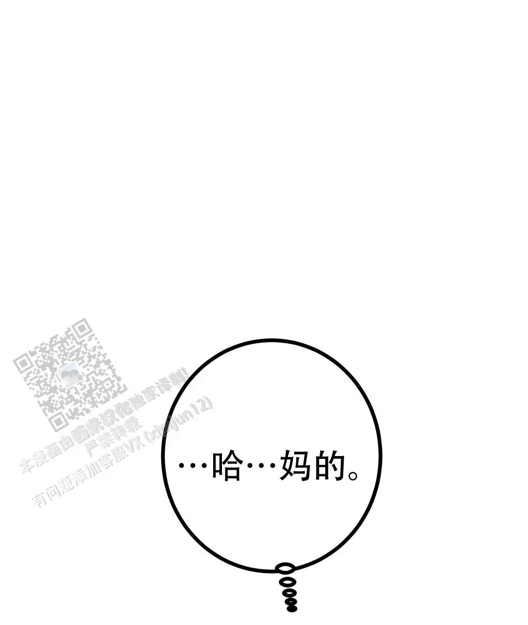 97.jpg