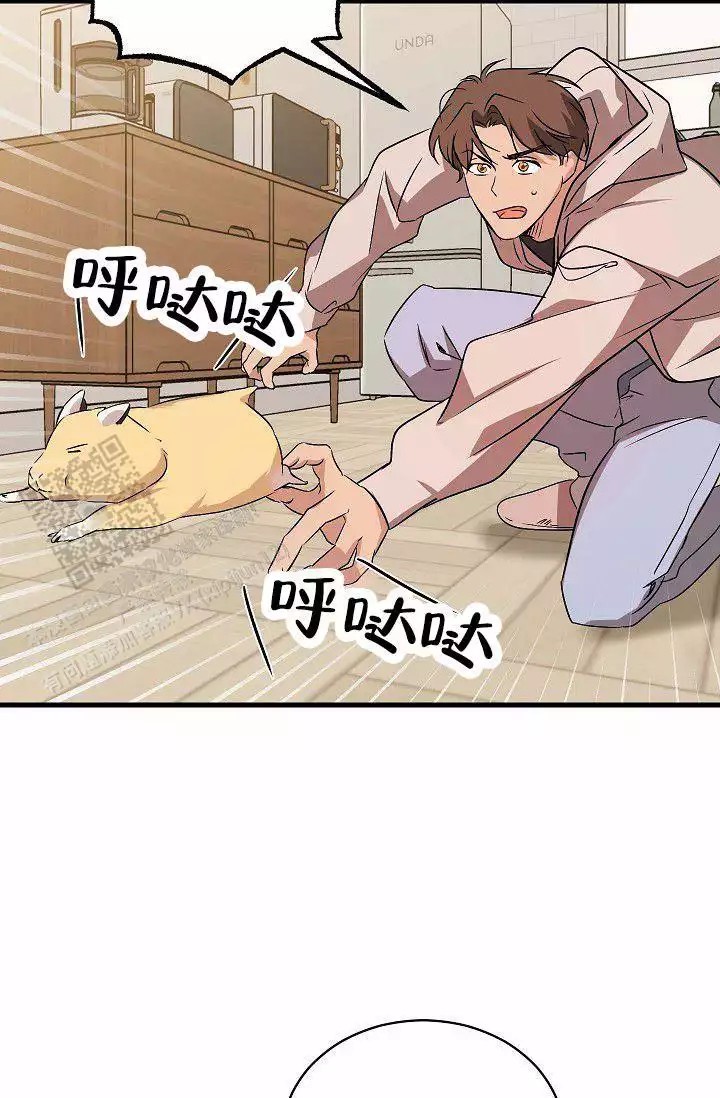 34.jpg