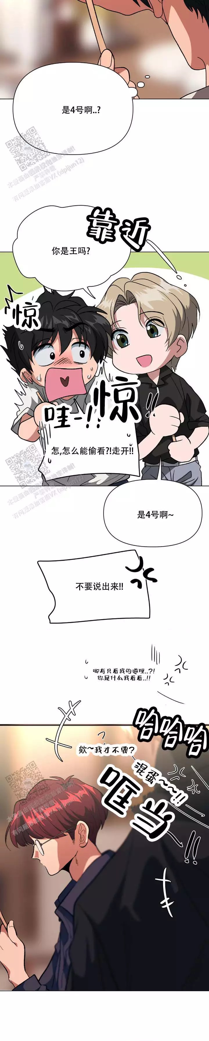 12.jpg
