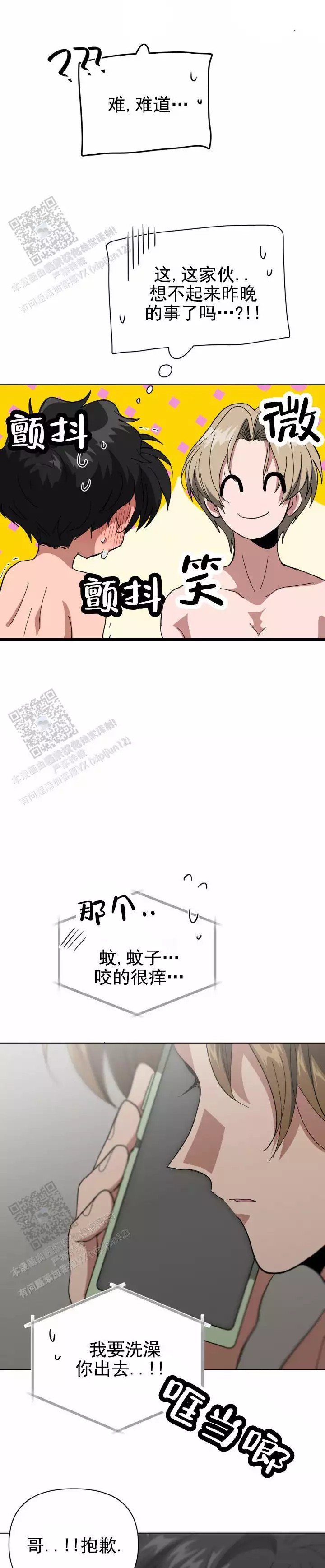 15.jpg