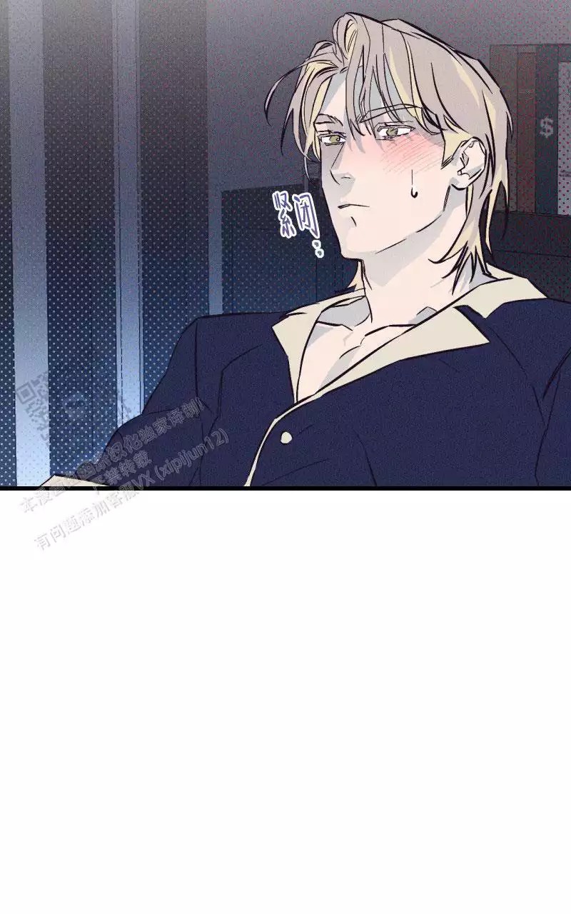 19.jpg