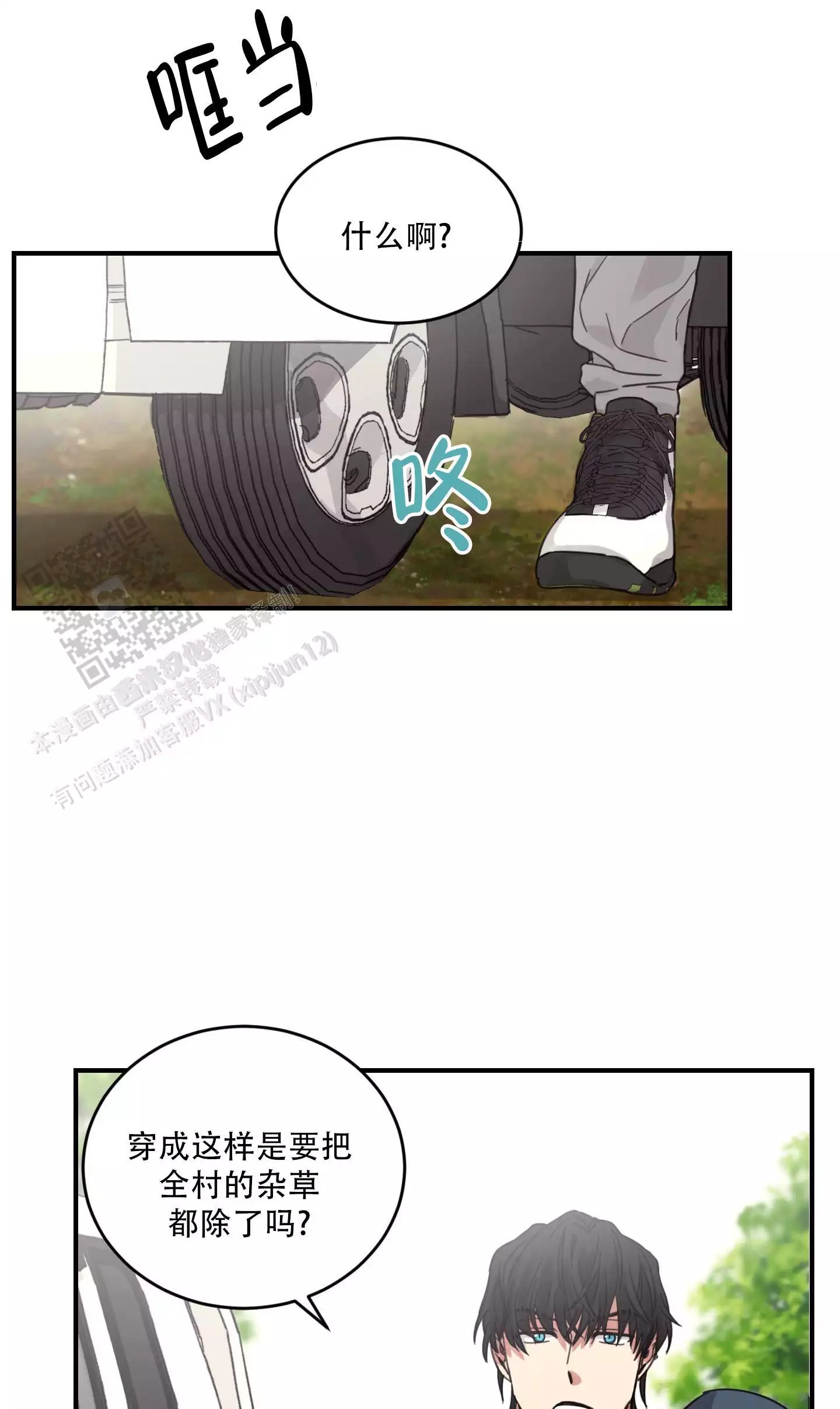 20.jpg