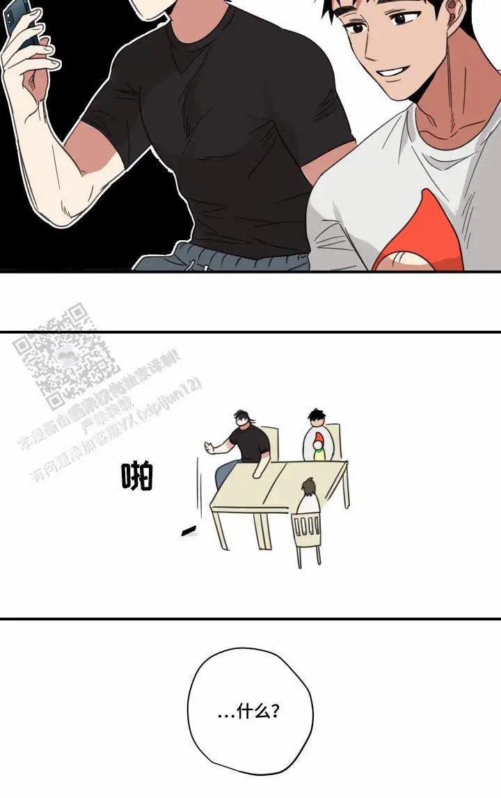 20.jpg