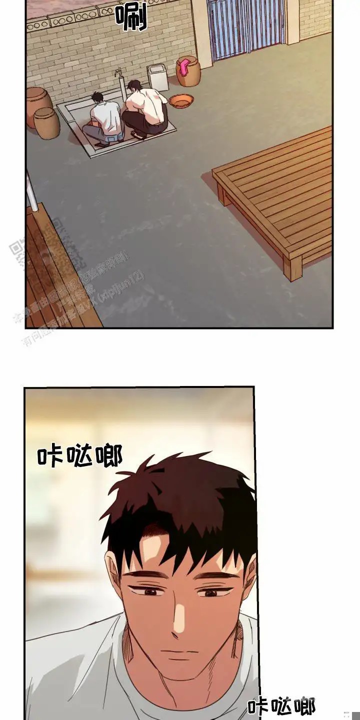 16.jpg