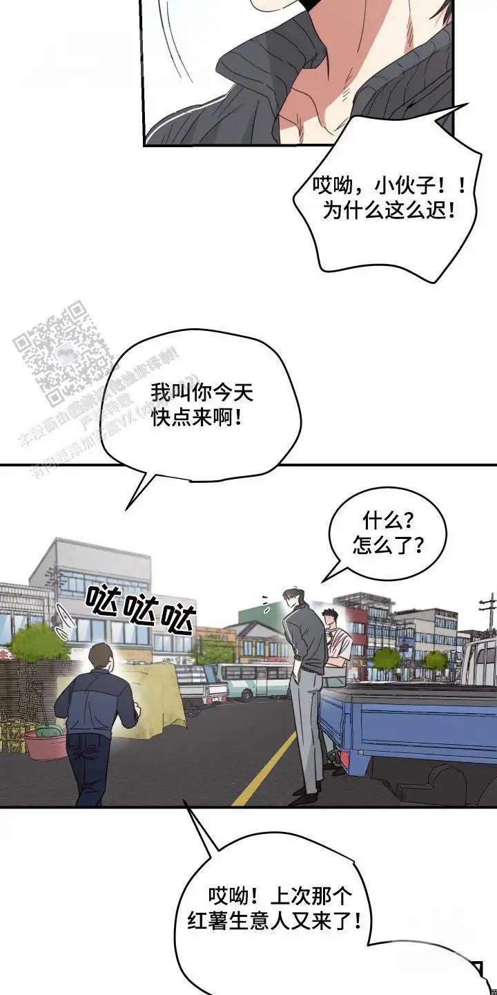 20.jpg