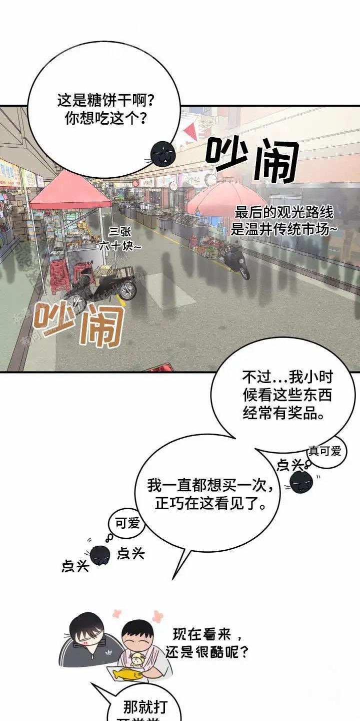 15.jpg